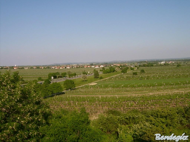 Click for original image